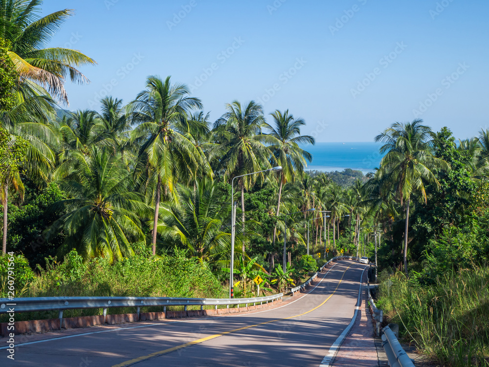 Shadows from palm trees on the road of the island of Phangan. Thailand.