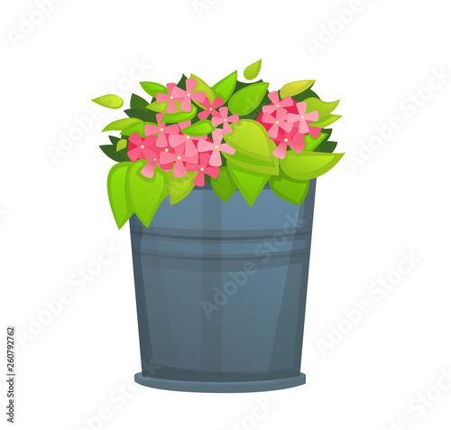 Pink Flower with green leaf in metallic bucket pot. - Vector