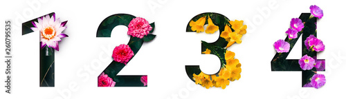 Flower font number 1, 2, 3, 4 Create with real alive flowers and Precious paper cut shape of Number. Collection of brilliant bloom flora font for your unique text, typography with many concept ideas photo