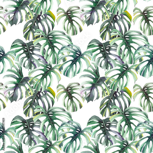 Seamless pattern with green monstera leaves. Watercolor on white background.