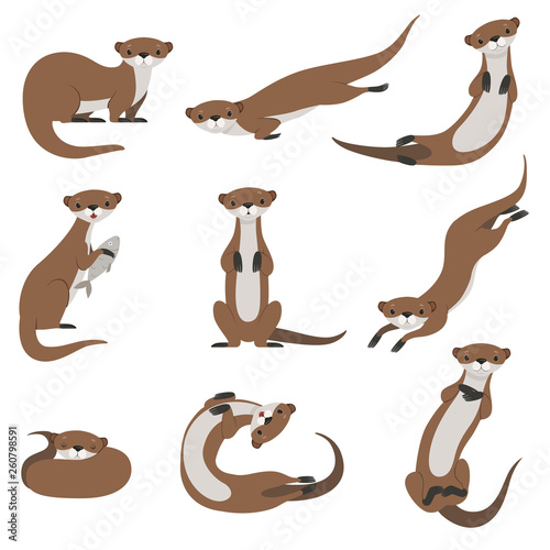 Cute otter set, funny animal character in various poses vector Illustration on a white background photo