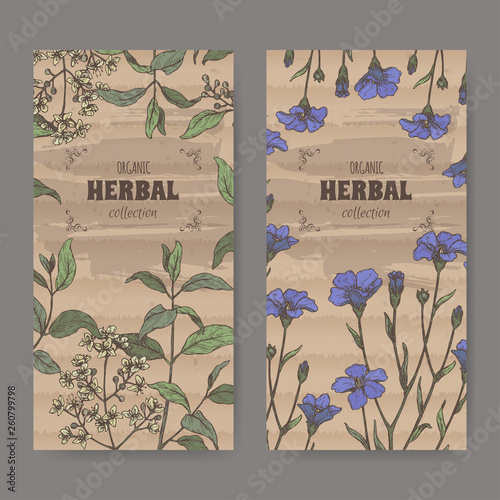 Two labels wuth Lawsonia inermis aka henna tree and Linum usitatissimum aka common flax sketch. Green apothecary series.