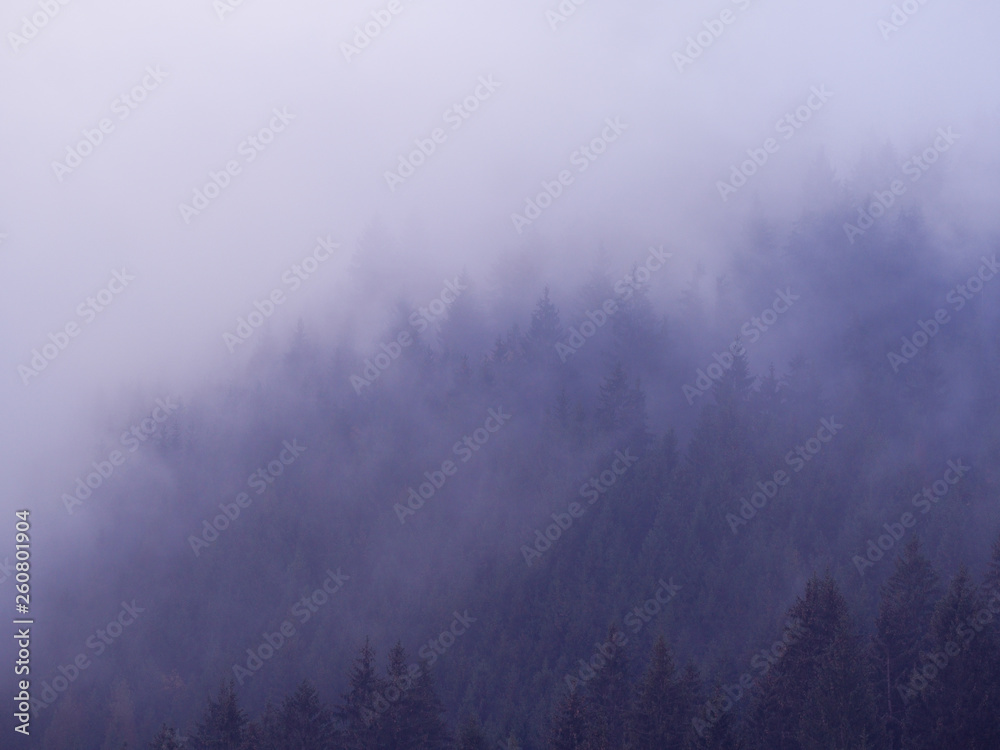 Carpatian mountains at the fog