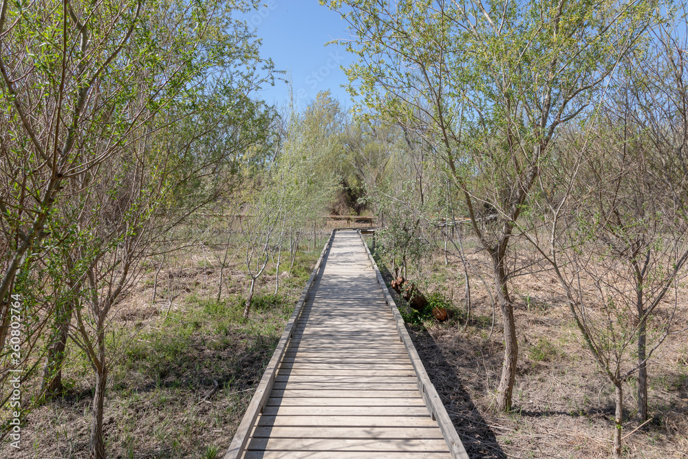 Paisajes de la ribera del rio ebro en flix - Ribera d'ebre - Tarragona