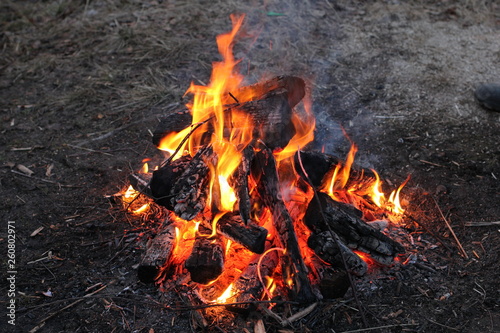 fire, flame, bonfire
