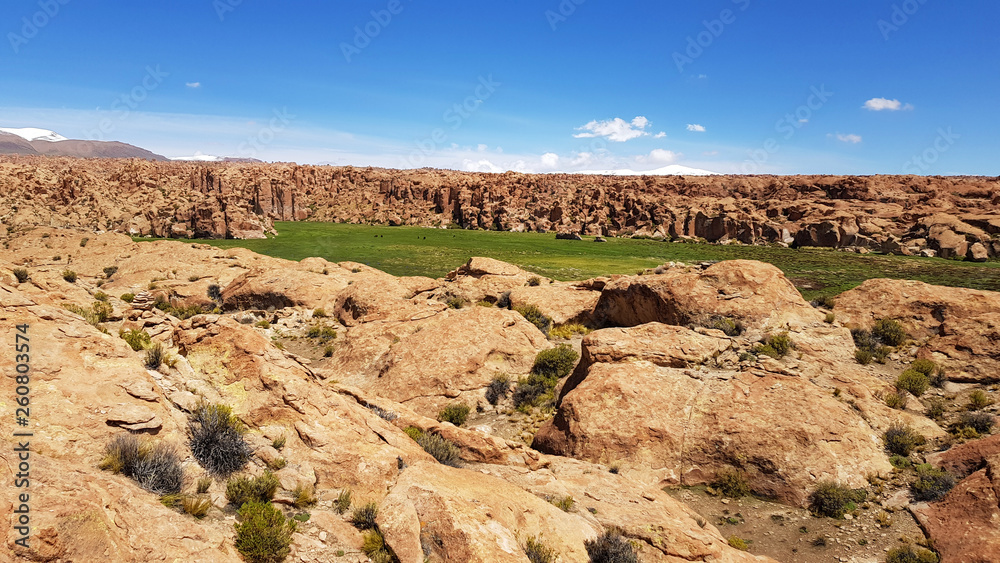 The rocky terrain that encloses the Laguna Negra in the Bolivian plateau, Bolivia