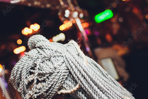 Young woman with gray braids long hair. photo