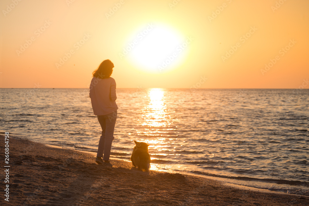 girl with a dog on the beach