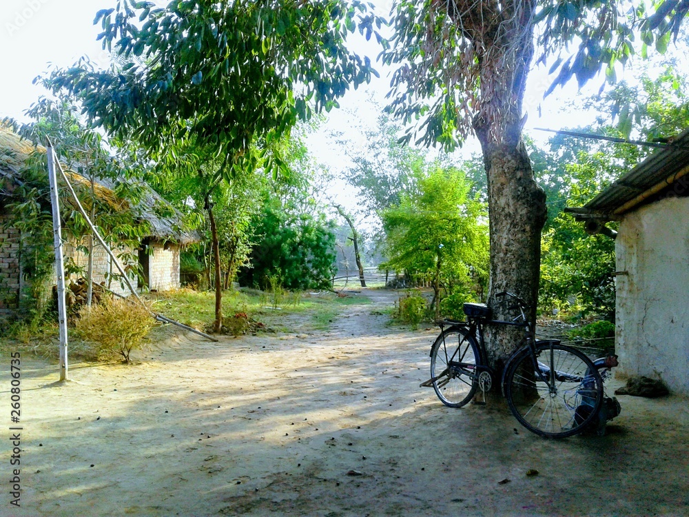 bicycle in the village 