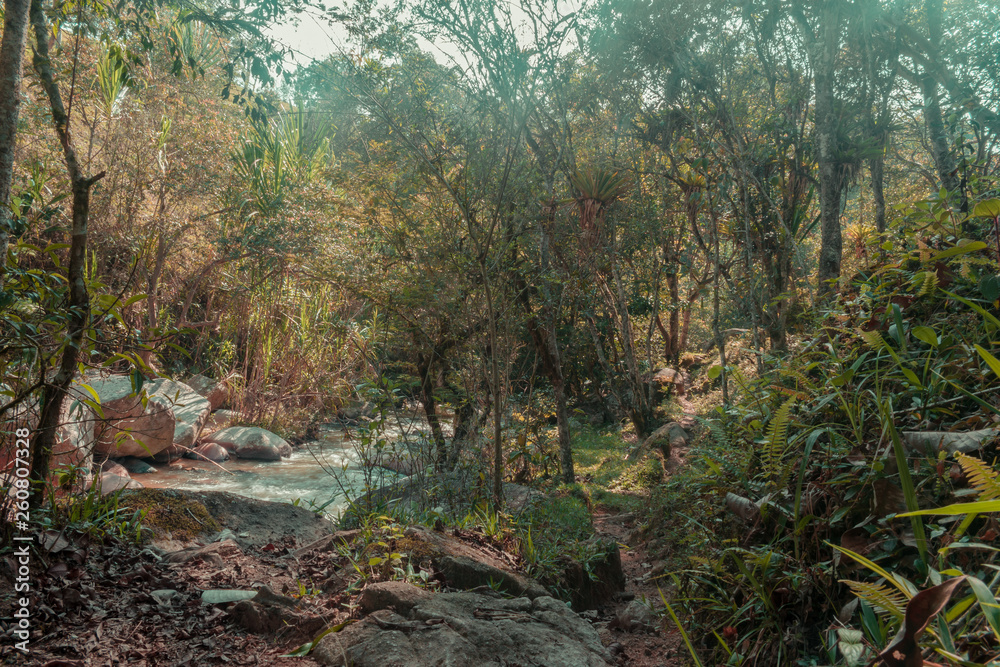 Naklejka premium wiejski krajobraz drzew i piękna rzeka z krystalicznie czystymi wodami i relaksującym otoczeniem