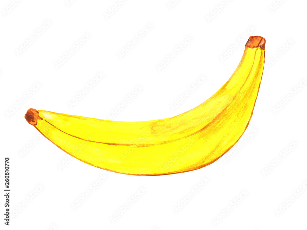Watercolor illustation of banana fruit isolated on white background. Hand drawing image of banana