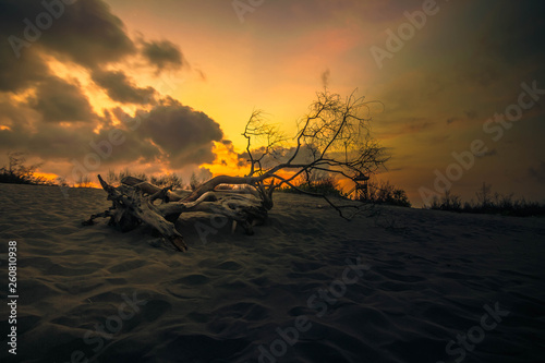 wonderful Indonesia