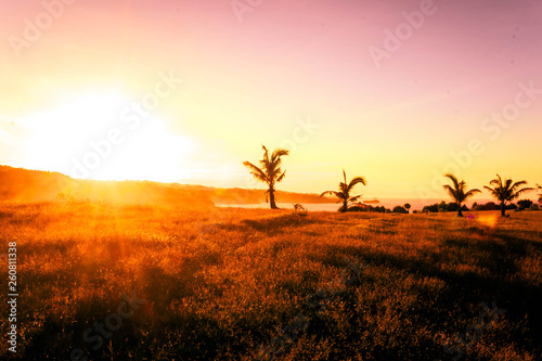 wonderful Indonesia