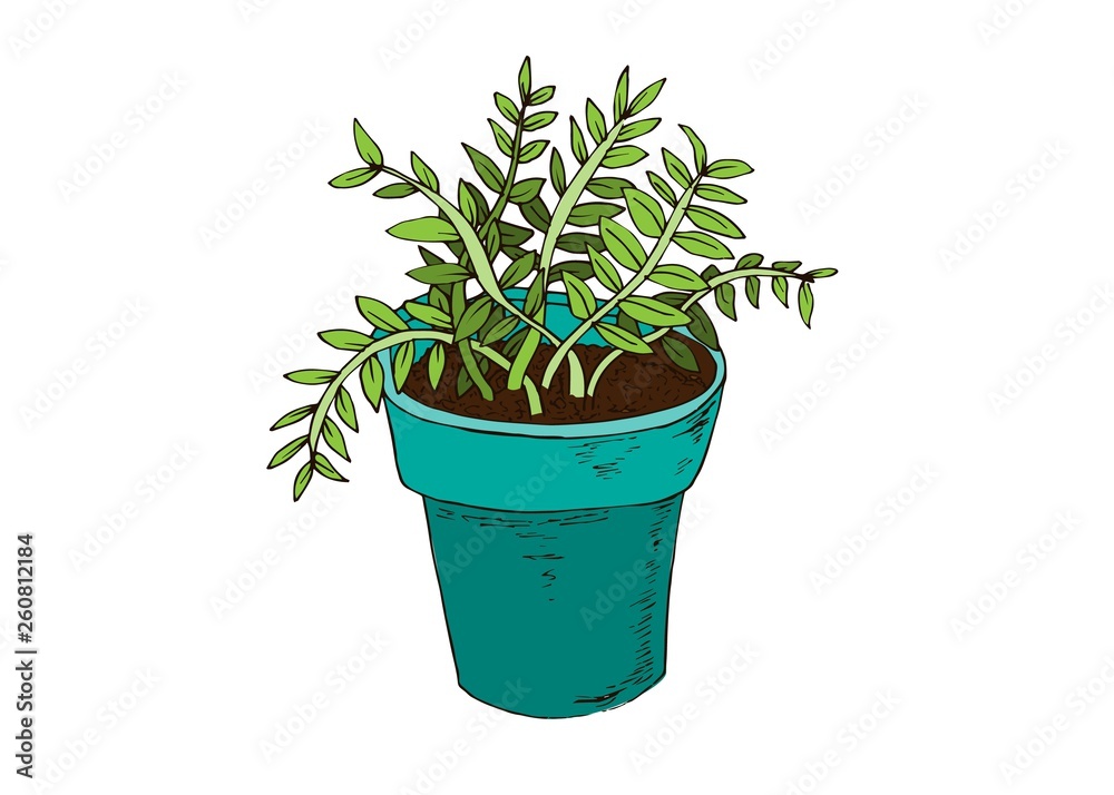 Beans flower pot in hand drawn style