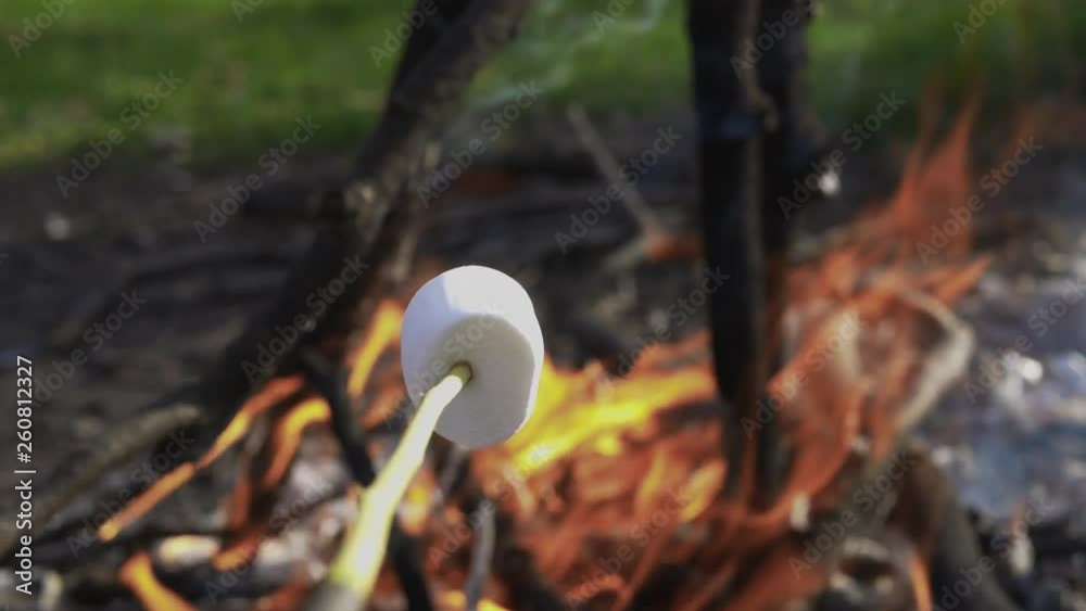 active,activity,adventure,autumn,bonfire,camp,campfire,child,childhood