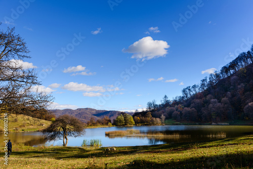 Beautiful landscape with lake and alone tree, Armenia photo