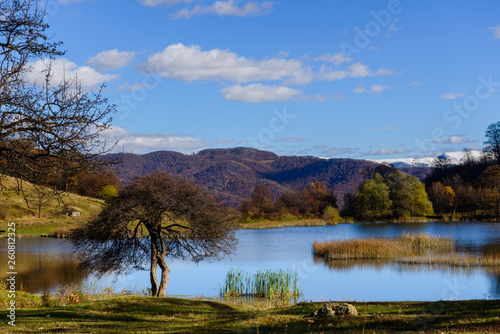 Beautiful landscape with lake and alone tree, Armenia