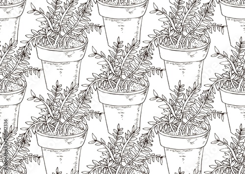 Beans flower pot seamless pattern in hand drawn style