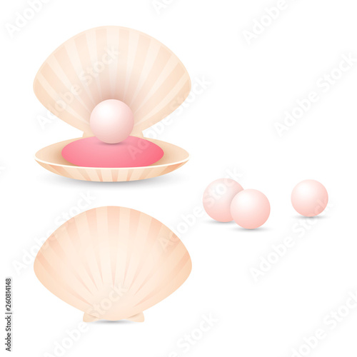Light pink pearl in shell. Open and closed seashells with small pearls. Can be used for topics like jewelry, fashion, treasure