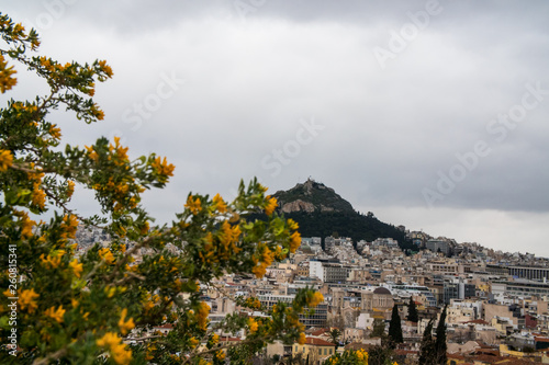 Autumn Mountains 