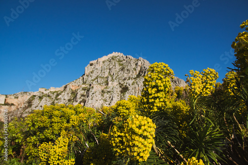 Spring Mountain