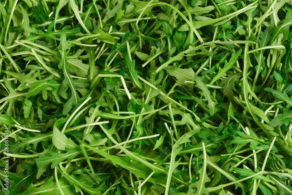 Fresh leaves of arugula as background. Fresh leaves of arugula as background.