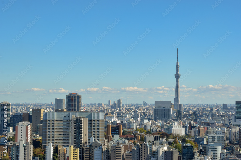 Tokyo Skyline - Skytree