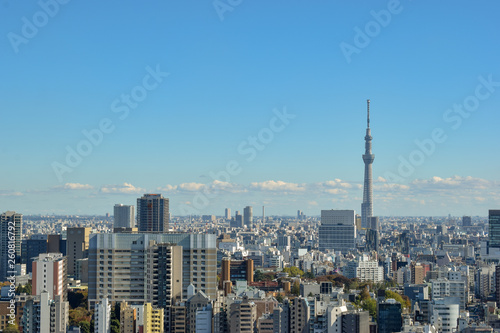 Tokyo Skyline - Skytree