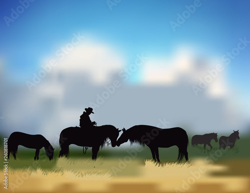 cowboy on the prairie