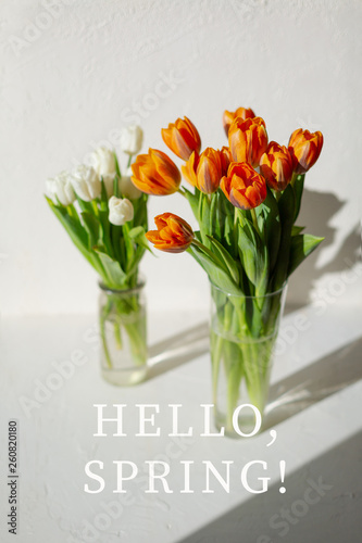 Two vases with spring orange and white tulips