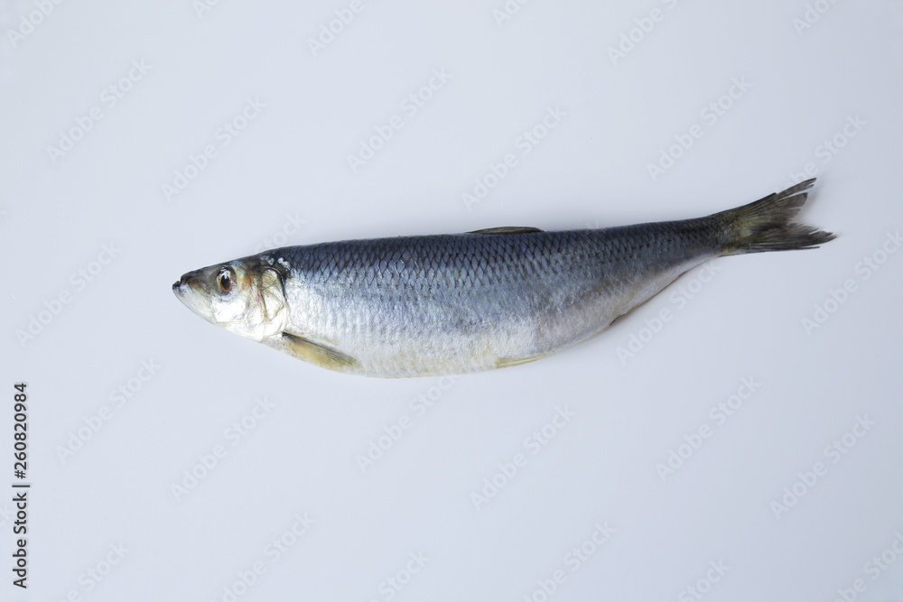 fresh herring isolated on white background with copy space for text. Flat lay. Top view. fresh herring isolated on white background with copy space for text. Flat lay. Top view.
