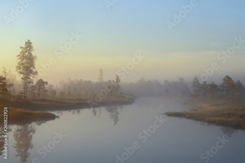 Landscape with misty morning in the forest lake