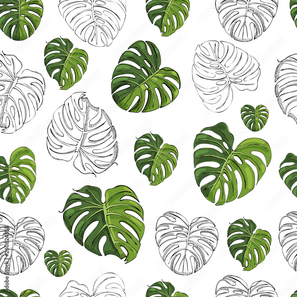 Seamless pattern with monochrome and colored  monsteкa leaves isolated on white background. Hand drawn ink sketch.