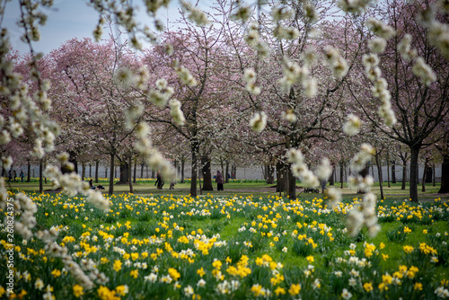 Wallpaper Mural Park im Frühling Torontodigital.ca