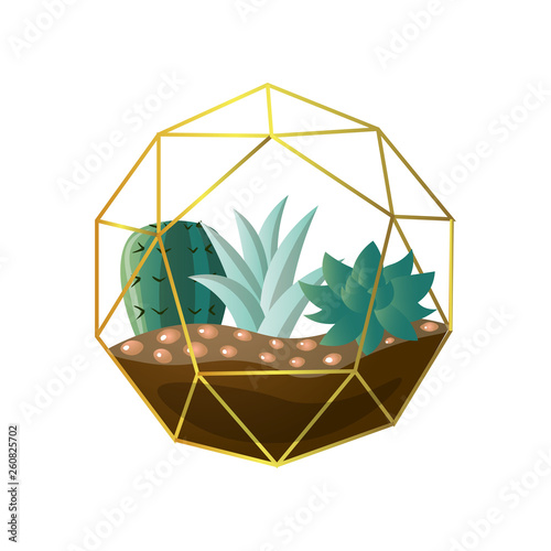 Round geometric terrarium with green succulent cactus plant