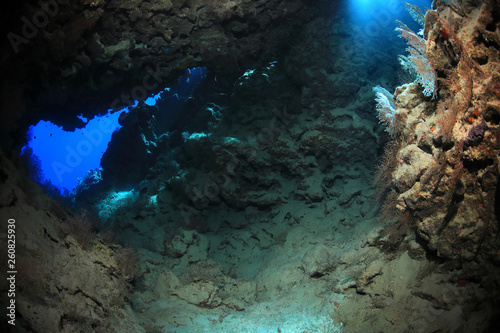Underwater cave in the Great Barrier Reef