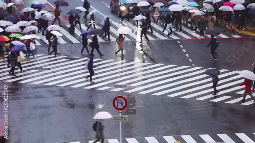 東京・渋谷・スクランブル交差点 photo