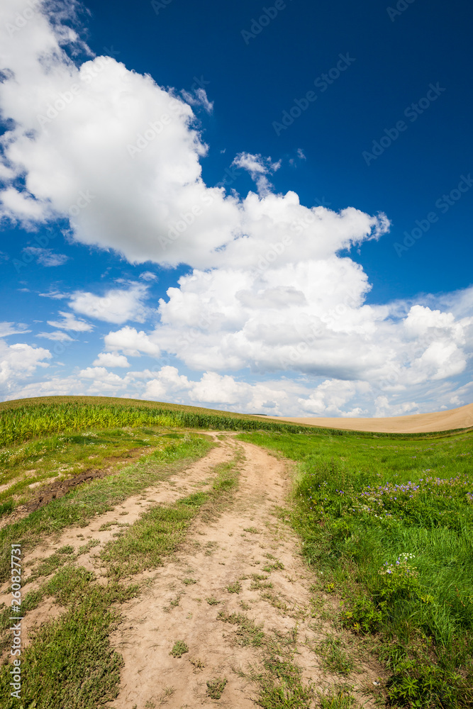 Empty countryside road through fields with wheat and green grass Empty countryside road through fields with wheat and green grass