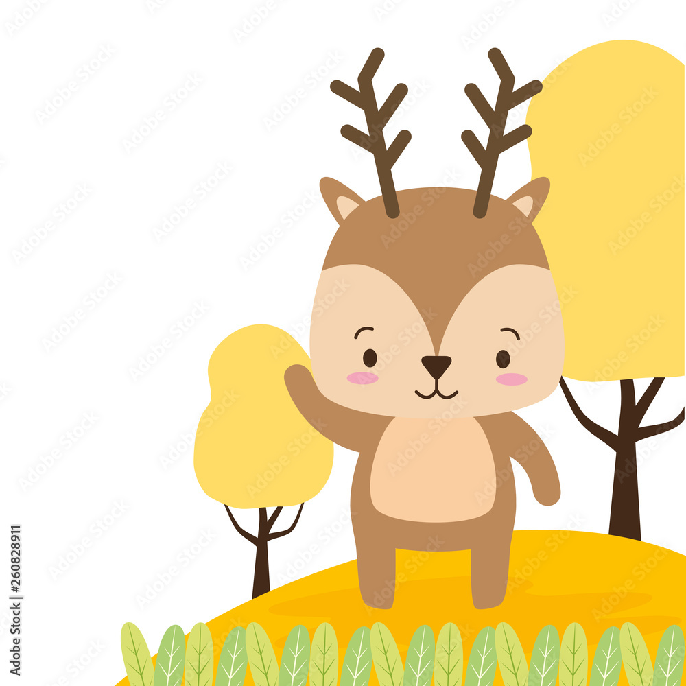 Fototapeta premium cute animal cartoon