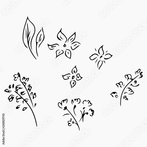 Hand Drawn Vector Illustrations Of Abstract Set of Flowers Isolated on White. Hand Drawn Sketch of a Flowers