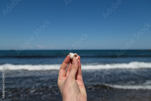 the woman hold a cowrie in the hand by the sea .
