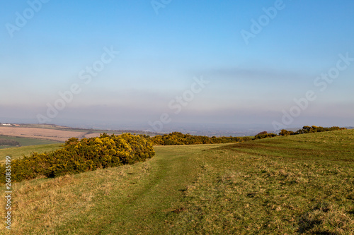 A Green Sussex Landscape with a Blue Sky Overhead