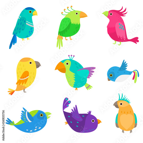 Set of colorful exotic and tropical parrot  cute bird
