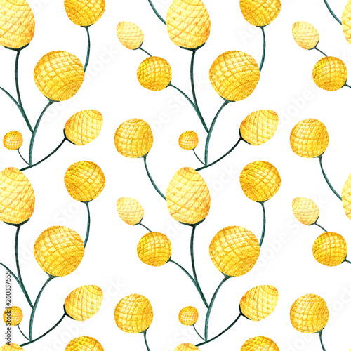 Seamless watercolor pattern with large yellow flowers on a white background. Flowers scolopendria - the Golden ball. Illustration for fabrics, t-shirts, clothing, bed linen, decor. Summer design.