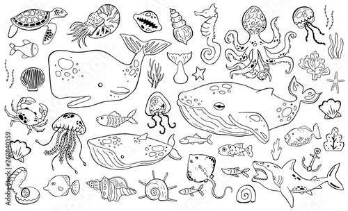 Marine life collection of sketche set. Sea animals.