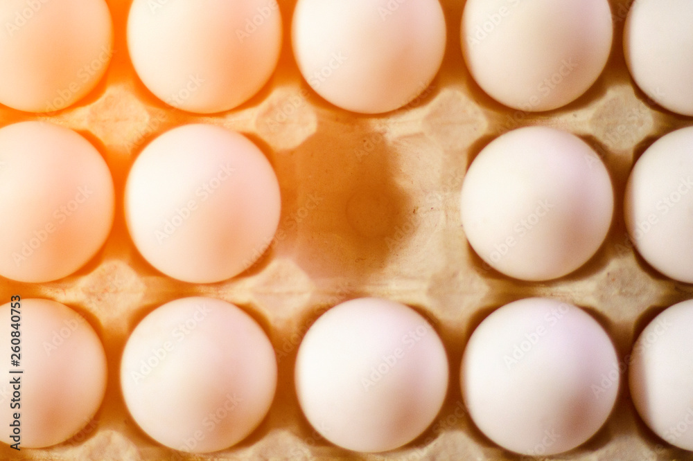 chicken eggs in shell chicken eggs in shell