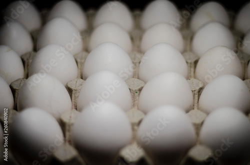 White chicken eggs are photographed from above