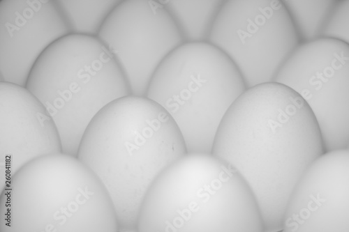  chicken eggs standing on the top of the mountain from other eggs with a backlight