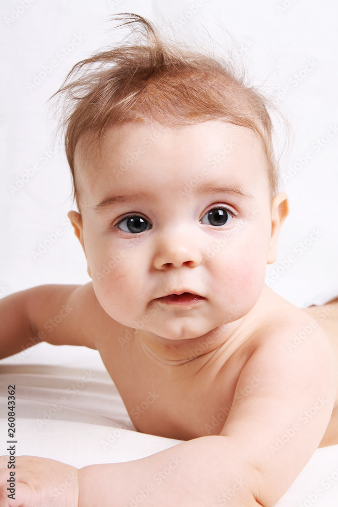 baby chest on white background baby chest on white background