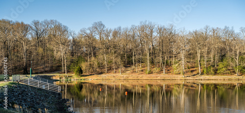 Spring Comes to Lake Fairfax